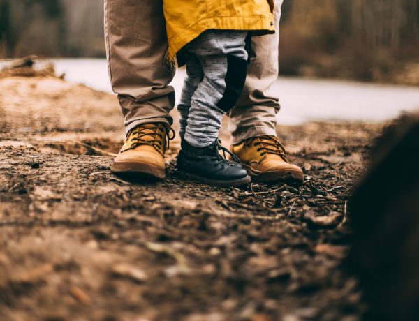 daiga-ellaby-7edWO30e32k-unsplash (Blog D.Lender)